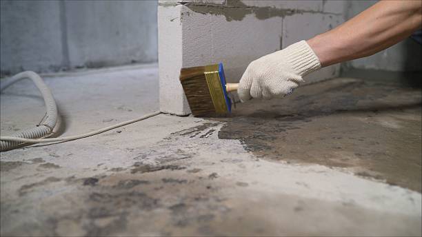 SJ Waterproofing Pros Basement Waterproofing coverage map for Stanwood, MI and surrounding area